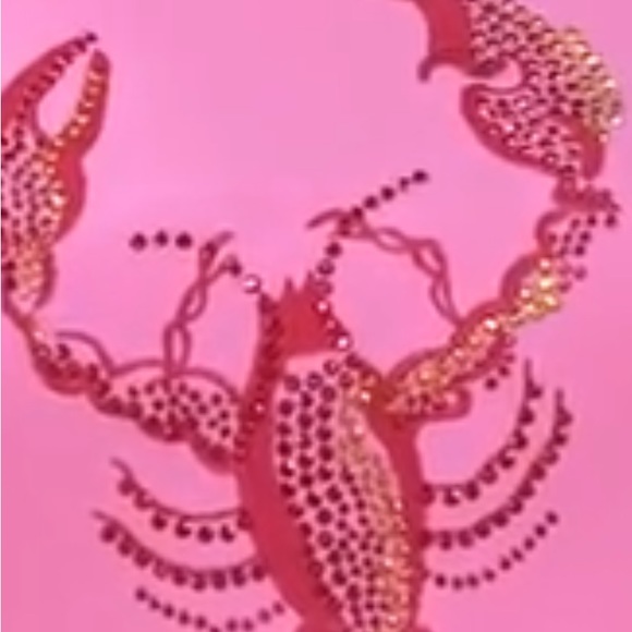 QUACKER FACTORY LOBSTER EMBELLISHED  3/4 SLEEVE T-SHIRT PINK SIZE MEDIUM - Picture 5 of 9